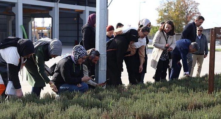 Aromatik bitki kursları KO-MEK’te