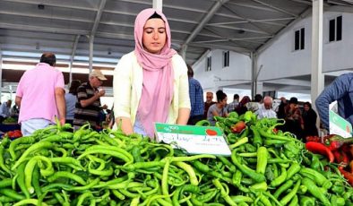 Kayseri bereketli bir organik sezonu geçirdi