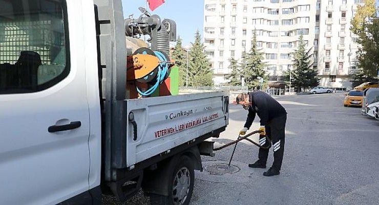 Halk Sağlığı İçin İlaçlama Çalışmalarına Devam