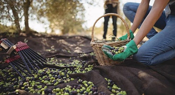 Hepsiburada, Yerli Malı Haftası’nı HepsiTürkiye’den ile Kutluyor
