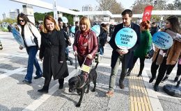 Rehber köpekler toplu ulaşımda