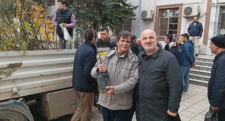 Saray Belediyesi’nden ücretsiz incir fidanı