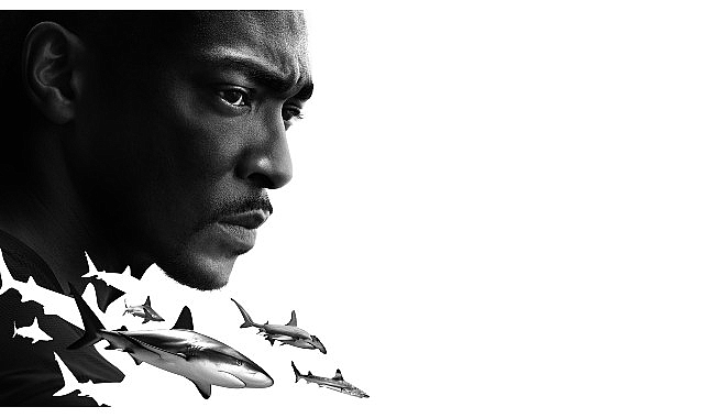 &apos;Anthony Mackie ile Köpekbalıkları: Körfez Kıyıları' 20 Temmuz Cumartesi 20.00'de National Geographic WILD Ekranlarında!